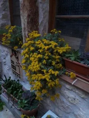 Ferienhaus El Vallecillo